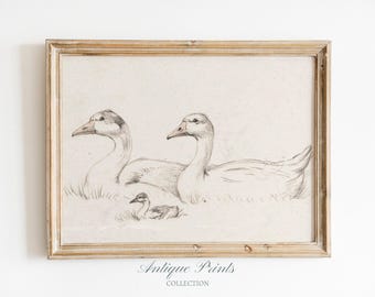 Vintage eend tekening, antieke eend schets kunst, decor meisjeskamer, kinderkamer kunst aan de muur, boerderij digitale kunst - AFDRUKBAAR