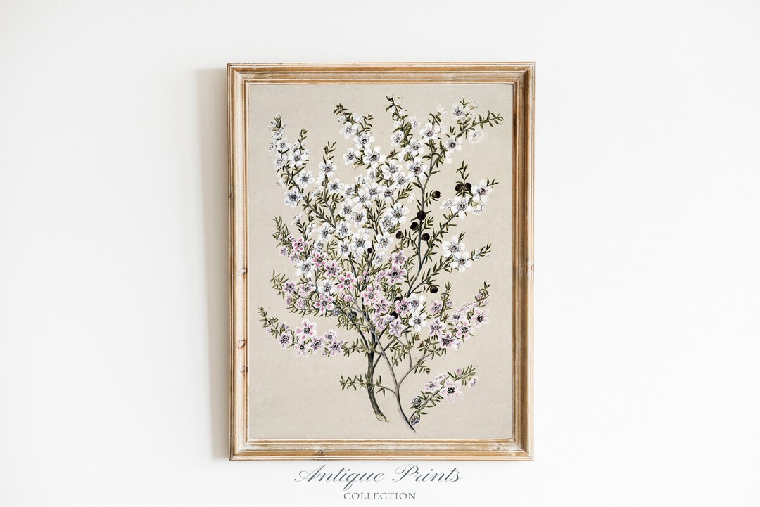 Wandkunst „Blumendusche“ – Gerahmter Leinwanddruck Mit Rosen & Blättern, Vintage-Stil, Für Badezimmer, Wohnzimmer & Mehr