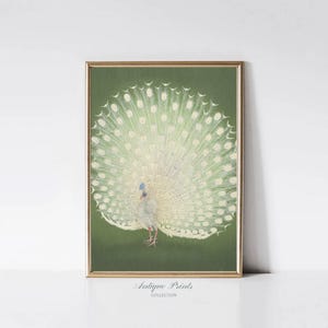 Vintage Peacock Wall Art, Green Tone Peacock Print, Antique Nursery Wall Decor, Farmhouse Wall Art - PRINTABLE