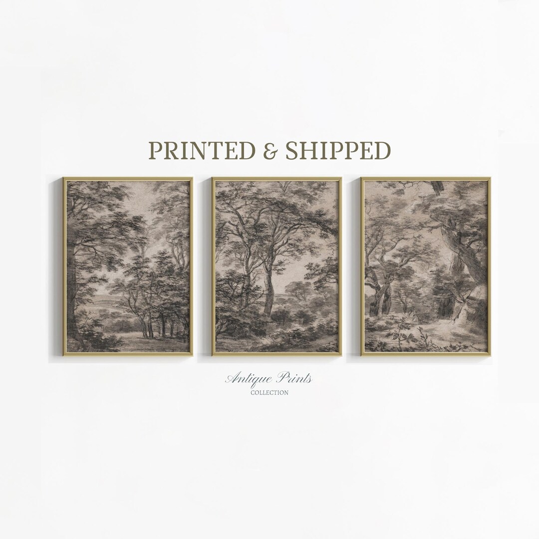 Forest Landscape Set of 3 Prints, Vintage Botanical Sketch Mailed Art ...