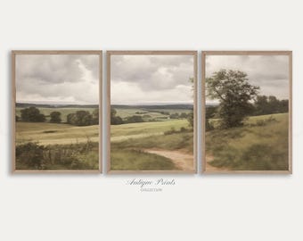 May include: Set of three framed landscape prints. Each print features a pastoral scene with rolling green hills, a dirt path, and a cloudy sky. The frames are a light brown color. The text "Antique Prints Collection" is at the bottom.