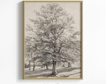 Neutral Antique Pine Tree Drawing, Forest Sketch Art, Vintage Rustic Nursery Pine Tree Print, Woodland Farmhouse Decor - PRINTABLE