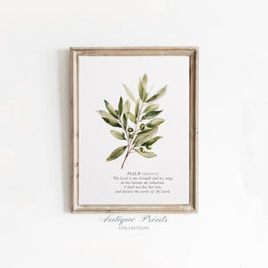 Puede incluir: Una impresión enmarcada con una ilustración en acuarela de una rama de olivo con hojas y aceitunas verdes. La impresión incluye texto del Salmo 118:14-17 y las palabras "Antique Prints Collection."