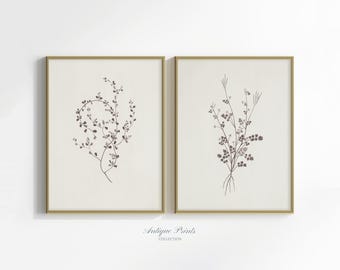 Botanical Wall Art, Vintage Neutral Branch Drawing, Set of 2 Minimalist Neutral Floral Sketch Prints, PRINTABLE Farmhouse Cottagecore Decor