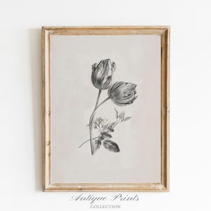 Vintage Flowers Sketch, Neutral Botanical Print, Minimalist Branch Sketch Art, Antique Vertical Flower Drawing, Farmhouse Decor - PRINTABLE