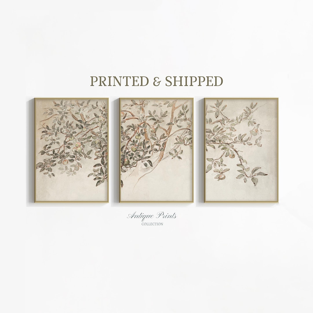 Neutral Botanical Prints Set of 3, Vintage Floral Sketch Wall Art ...