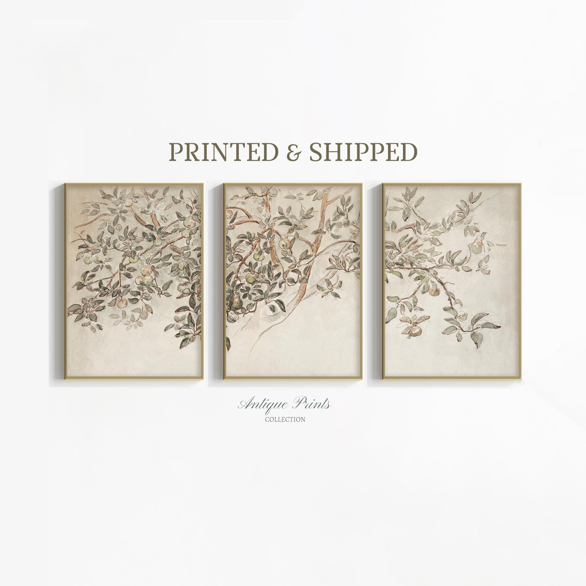Neutral Botanical Prints Set of 3, Vintage Floral Sketch Wall Art ...