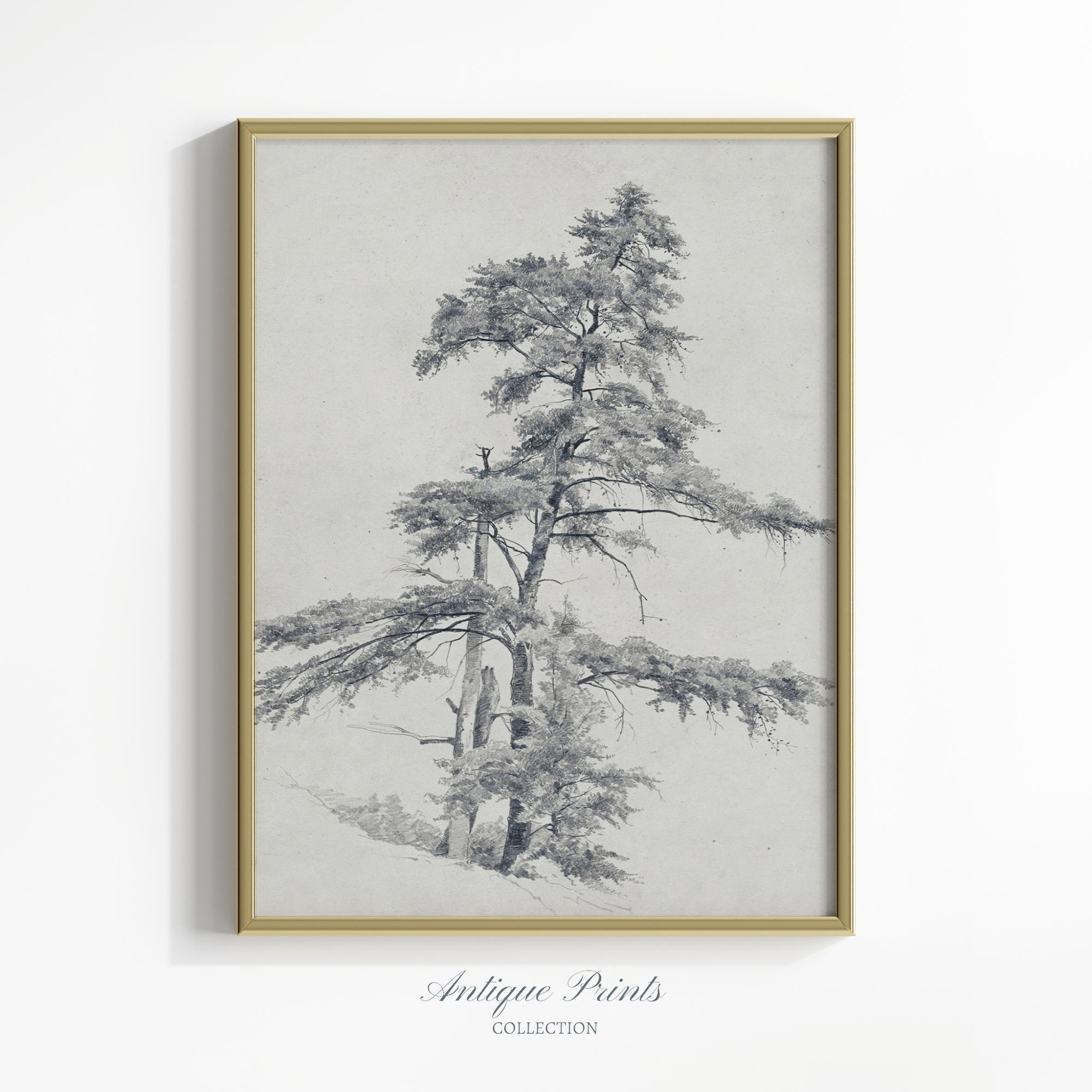 Rustic Neutral Tree Sketch, Vintage Pine Tree Drawing, Woodland Print, Digital PRINTABLE Art, Neutral Forest Sketch Art, Farmhouse Decor