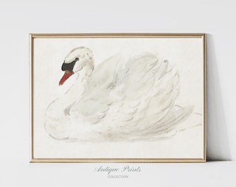 Swan Drawing, Vintage Girl Nursery Wall Art, Antique Swan Painting, Girls Room Print, White Swan Print, Still life Wall Art -  PRINTABLE