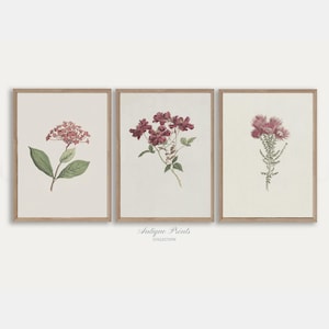 Conjunto de 3 dibujos de flores neutras, galería botánica vintage de pared, arte de pared de 3 piezas con flores antiguas, conjunto de pared floral de acuarela - IMPRIMIBLE