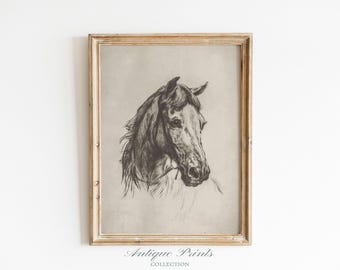 Vintage Horse Drawing, Horse Portrait Sketch, Horse Wall Art, Equestrian Painting, Western Wall Art, Antique Farmhouse Decor - PRINTABLE