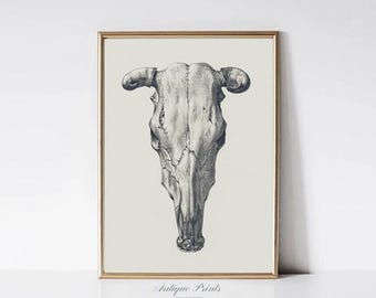 Cow Skull Pencil Drawing, Cow Skull Sketch, Cow Horns Print, Southwest Wall Art, Antique Western Decor, Cowboy Vintage Painting - PRINTABLE
