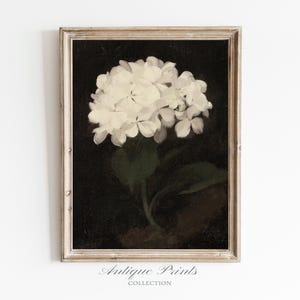 Impresión vintage de flores, pintura antigua de hortensias, arte mural grande con impresión botánica, bellas artes de la naturaleza
