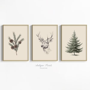 May include: Set of three framed art prints featuring botanical and wildlife illustrations. Includes a pine branch with pinecones, a deer head, and a detailed evergreen tree. The prints have a neutral background and are framed in gold.