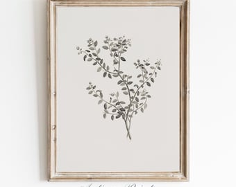 Minimalist Botanical Vintage Drawing, Neutral Flowers Sketch Art, PRINTABLE Antique Branch Sketch, Farmhouse Elegant Wall Decor