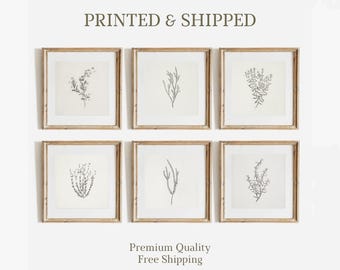 Set of 6 Neutral Branch Square Drawing, Vintage Botanical Gallery Wall Set Prints, Flower Antique 6 Pieces Square Mailed Wall Art