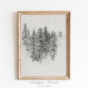 Neutral Tree Sketch Art,  Vintage Pine Tree Drawing, Antique Nature Print, Neutral Forest Sketch, Rustic Farmhouse Wall Decor - PRINTABLE