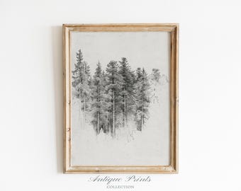Neutral Tree Sketch Art,  Vintage Pine Tree Drawing, Antique Nature Print, Neutral Forest Sketch, Rustic Farmhouse Wall Decor - PRINTABLE