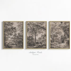 Landschaft Skizze Kunst, Neutral Wald Drucke 3er-Set, Vintage rustikale Cottage Wandkunst, Botanische Bauernhausdekor, druckbare digitaler Download