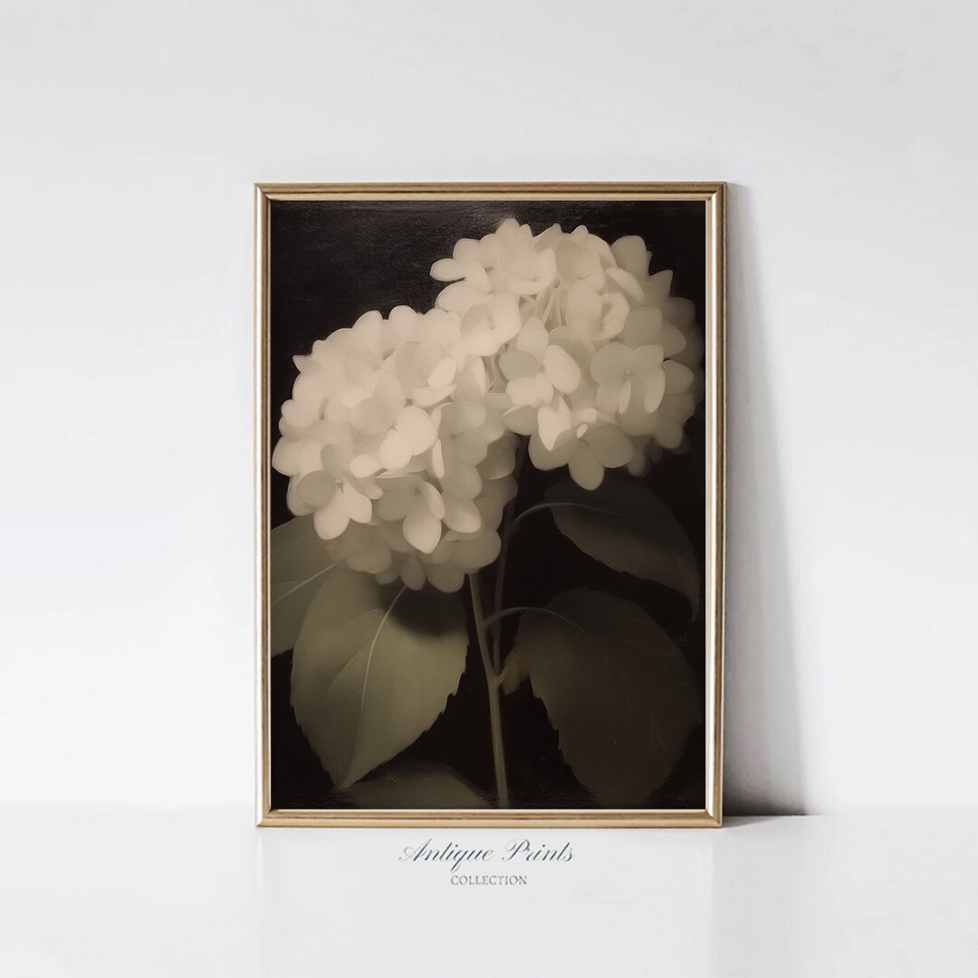 Hydrangea Wall Art, Dark Moody Antique Botanical Art, Printable Vintage ...