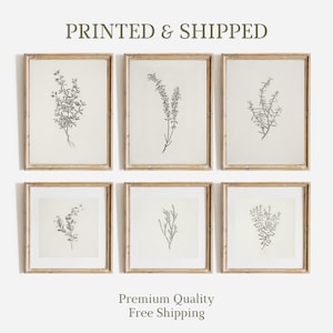 Set von 6 neutralen botanischen Vintage-Drucken, Zweigzeichnung Galerie Wandset, Blumen Antik 6 Stück vertikale und quadratische Wandkunst, Mailed Art