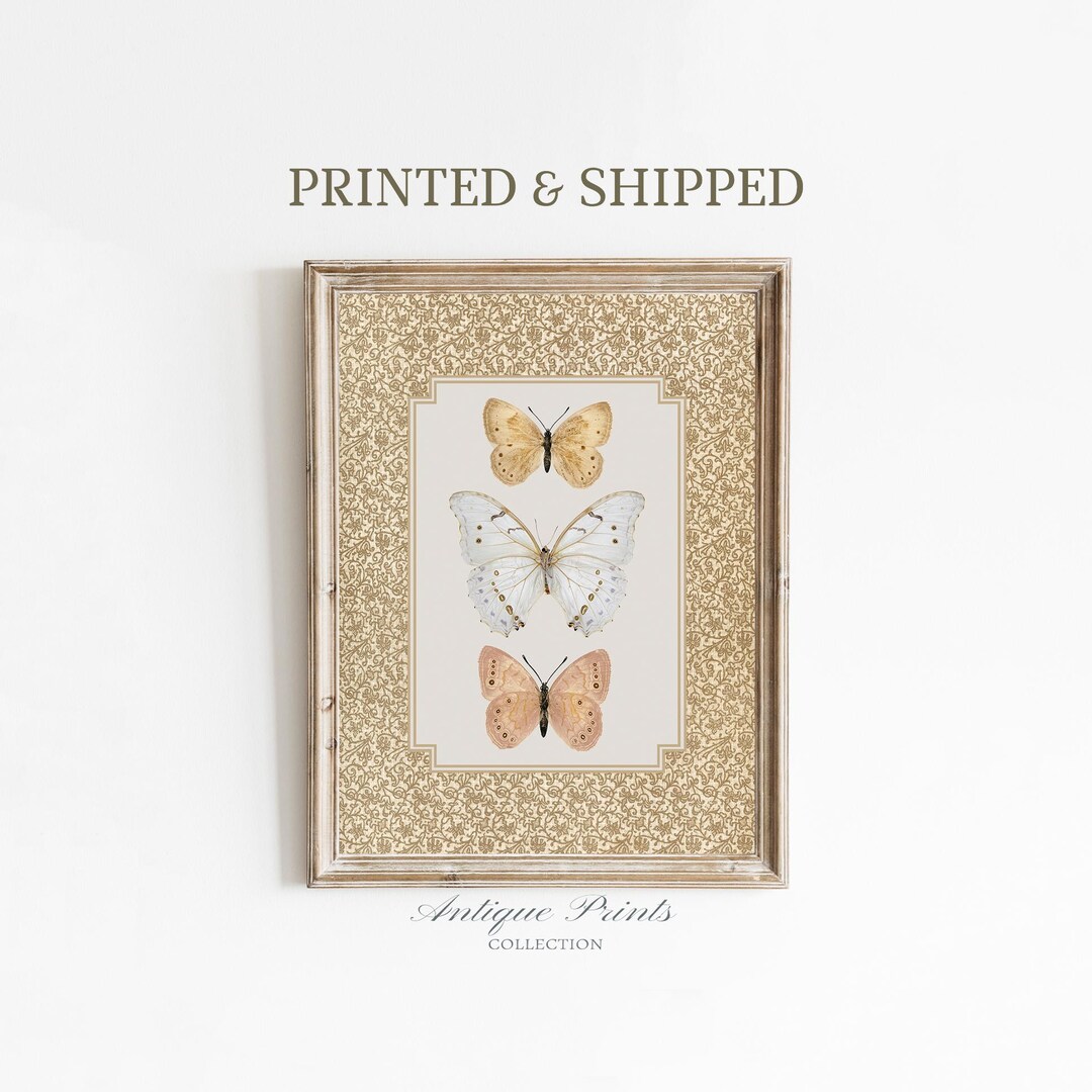 Vintage Butterfly Print, Cottagecore Neutral Decor, Antique Moth Mailed ...