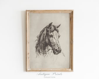 Vintage Horse Drawing, Horse Portrait Sketch, Horse Wall Art, Equestrian Painting, Western Wall Art, Antique Farmhouse Decor - PRINTABLE