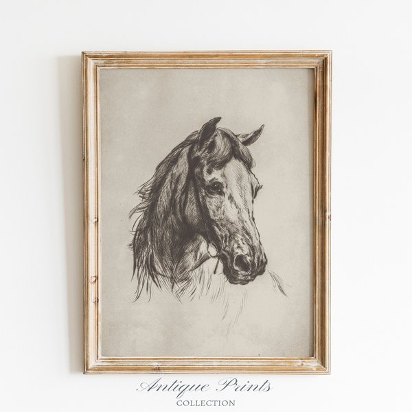 Vintage Horse Drawing, Horse Portrait Sketch, Horse Wall Art, Equestrian Painting, Western Wall Art, Antique Farmhouse Decor - PRINTABLE