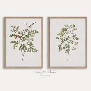 Set of 2 Neutral Branch Drawing, Vintage Botanical Gallery Wall Set, Antique Flowers 2 Pieces Wall Art, Neutral Floral Wall Set - PRINTABLE