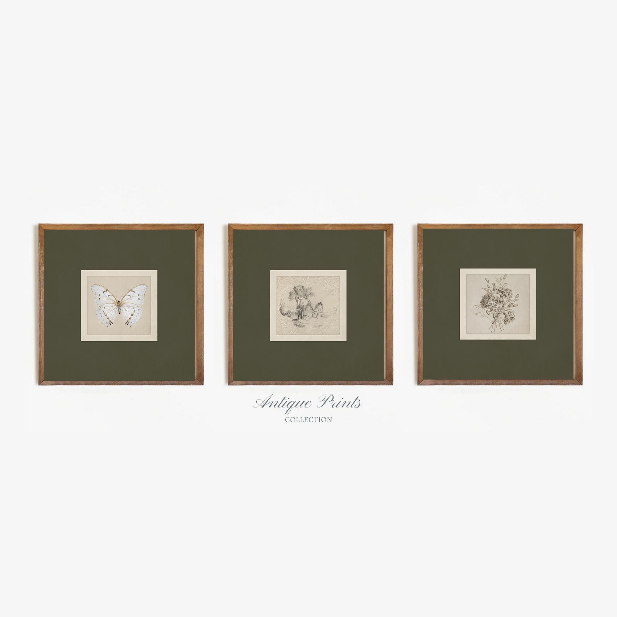 Square Prints Set of 3, Neutral Botanical Drawing, Vintage Sketch ...