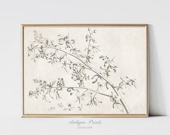 ニュートラルな枝のスケッチアート、ヴィンテージ植物プリント、水平の枝の絵、ミニマリストのシンプルな壁アート、農家の装飾 - 印刷可能
