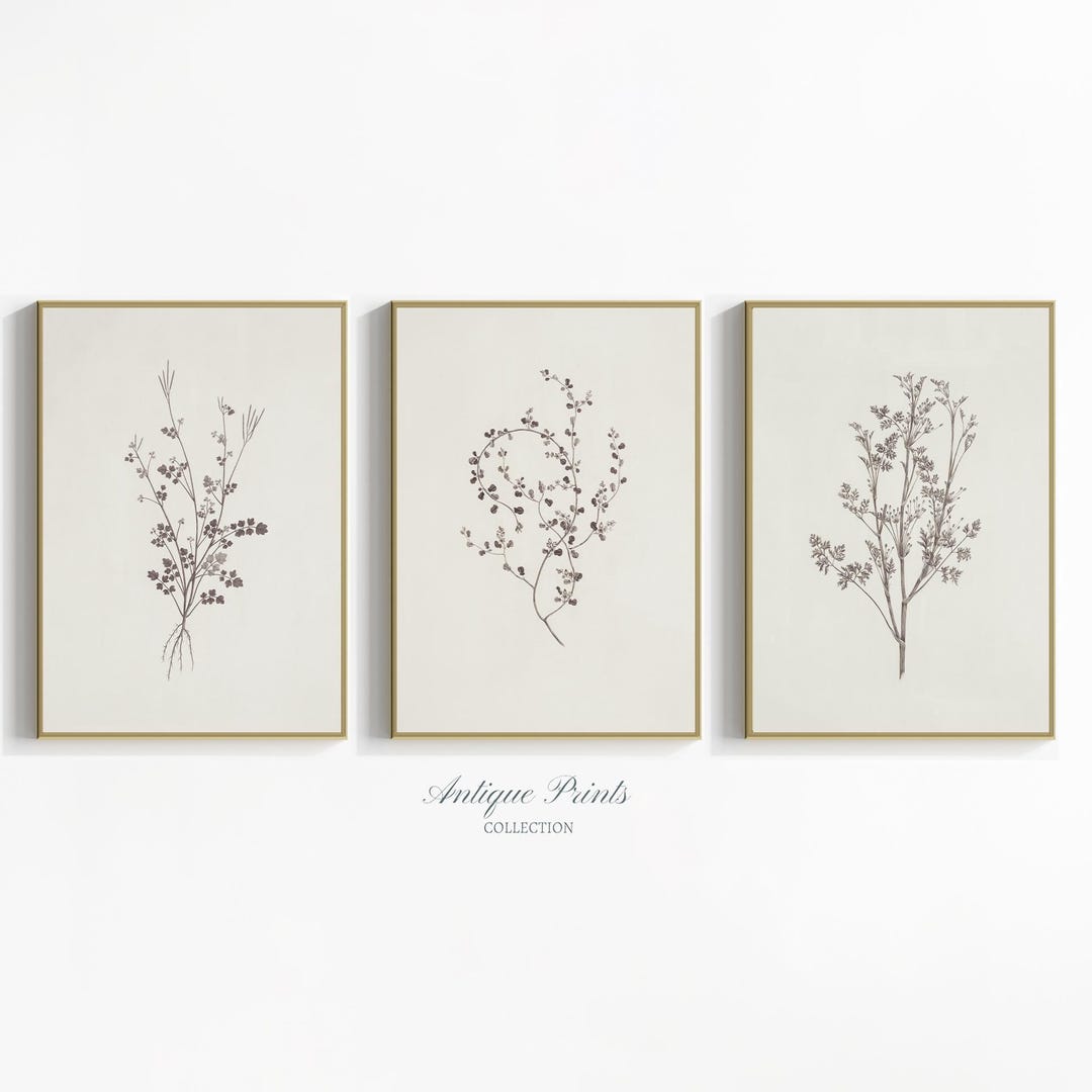 Botanical Wall Art, Vintage Neutral Branch Drawing, Set of 3 Minimalist ...