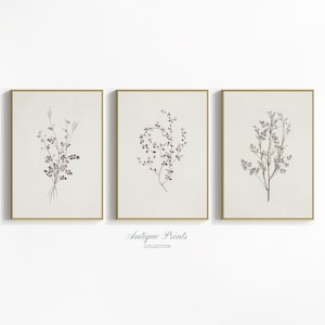 Arte de pared botánico, dibujo vintage de ramas neutras, juego de 3 impresiones minimalistas de bocetos florales neutros, decoración rústica de estilo cottagecore para imprimir
