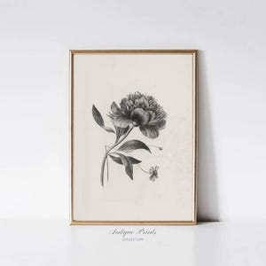 Peony Vintage Sketch, Neutral Botanical Print, Minimalist Branch Sketch Art, Antique Vertical Flower Drawing, Farmhouse Decor - PRINTABLE