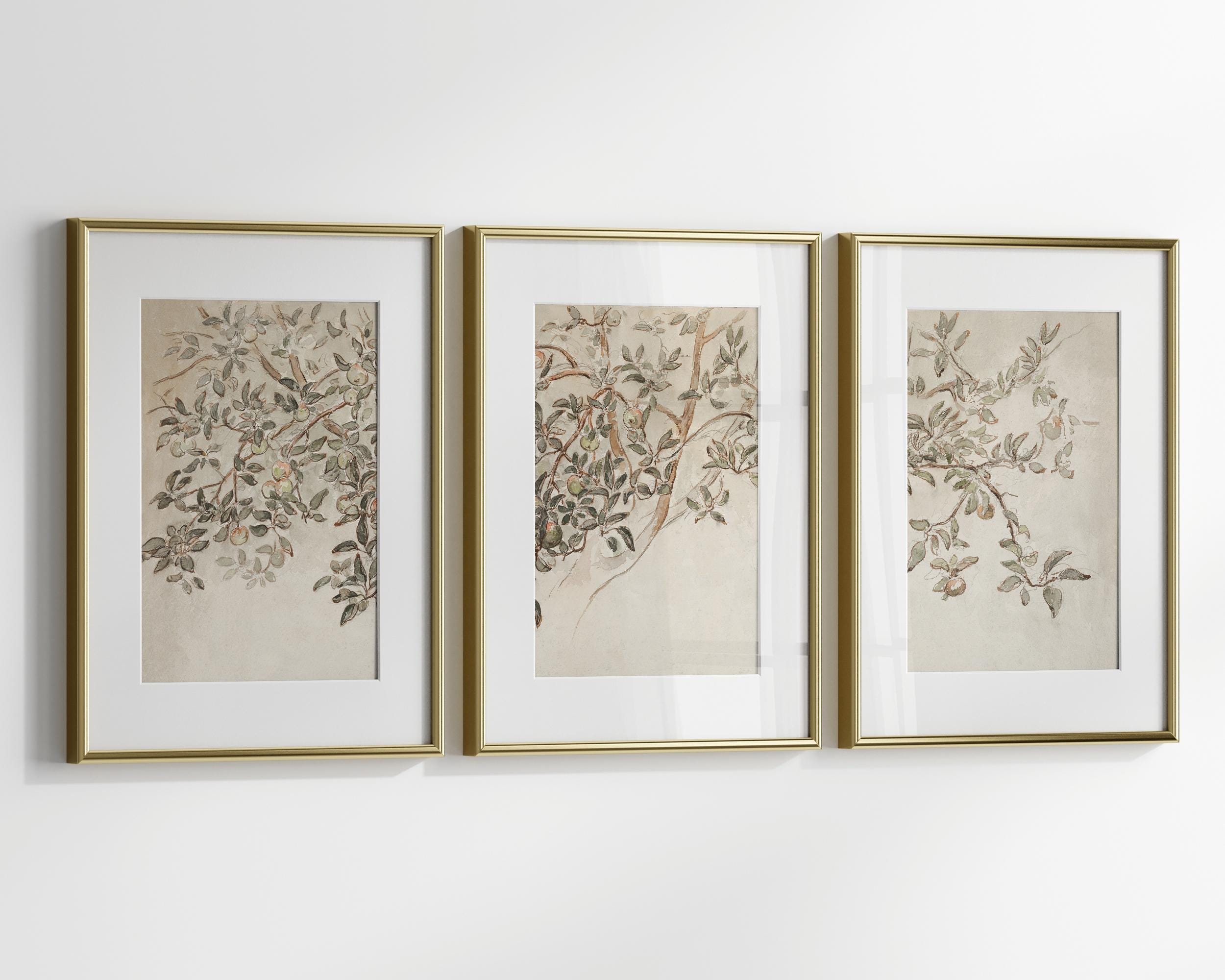 Neutral Botanical Prints Set of 3, Vintage Floral Sketch Wall Art ...
