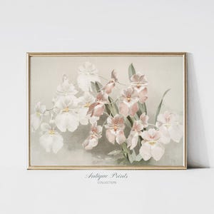 Neutral Still Life Flowers Painting, Vintage Botanical Print, Soft Pink Floral Painting, Antique Blush Wall Art, Nursery Decor - PRINTABLE