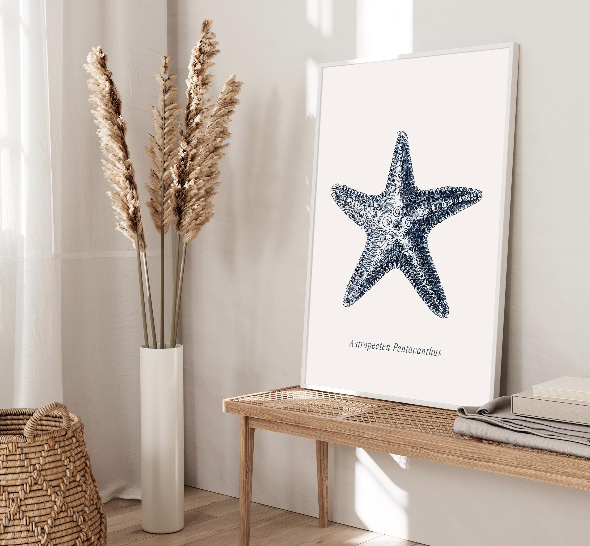 Antique Starfish Drawing, Vintage Seashell Sketch Art