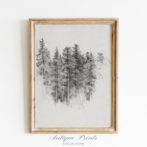 Neutrale Baum Skizze Kunst, Vintage Kiefer Zeichnung, antiker Natur Druck, Neutral Wald Skizze, rustikale Bauernhaus Wand Dekor - DRUCKBAR