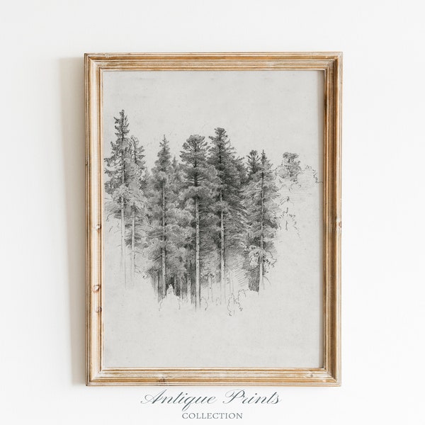 Neutral Tree Sketch Art,  Vintage Pine Tree Drawing, Antique Nature Print, Neutral Forest Sketch, Rustic Farmhouse Wall Decor - PRINTABLE