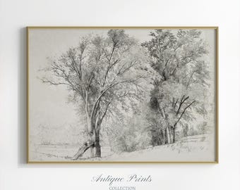 Neutral Forest Sketch Art,  Vintage Landscape Drawing, Antique Nature Print, Neutral Country Sketch, Rustic Farmhouse Decor - PRINTABLE