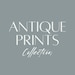 AntiquePrintsCollect store logo