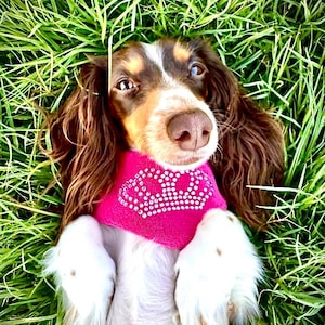 Juicy Couture Dog Bandana Hot Pink With Rhinestones