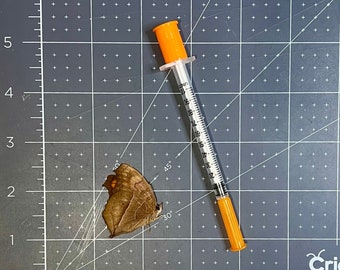 Syringe for Entomology Use, Hydrating and Spreading Butterflies, Mounting Supplies, tools