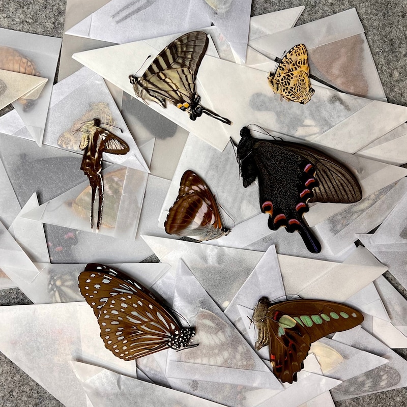 Folded Butterfly Jewelry - Etsy