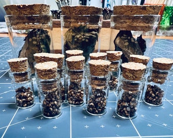 May include: A collection of small glass bottles with cork tops, filled with dark brown seeds. The bottles are arranged in a grid pattern on a blue and white surface.