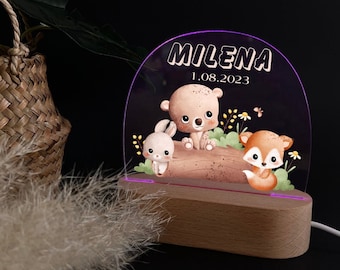 Lampada da notte in acrilico arcobaleno personalizzata, nascita regalo per bambini, regalo di battesimo, camera dei bambini, regalo di compleanno, lampada da comodino