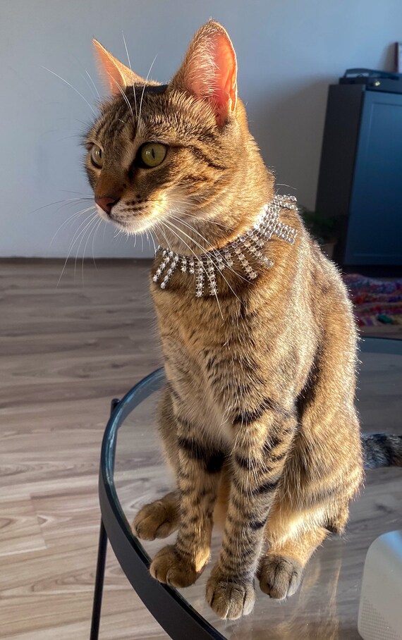 Shiny Cat Collar With Breakaway Safety Elegant Female Cat Necklace Rhinestone Party Costume for Cats Cat Birthday Gift Etsy Canada