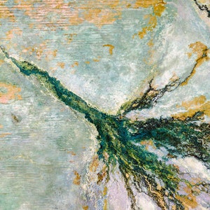Satellite Image Okavango Delta 2 [DIGITAL]