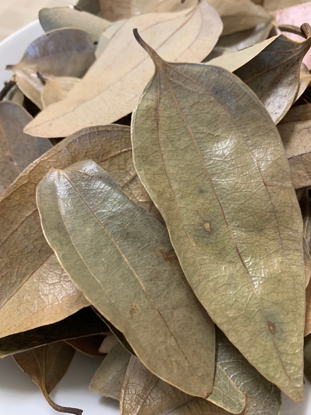 Dried Jamaican Cinnamon Leaves 30 Leaves Etsy