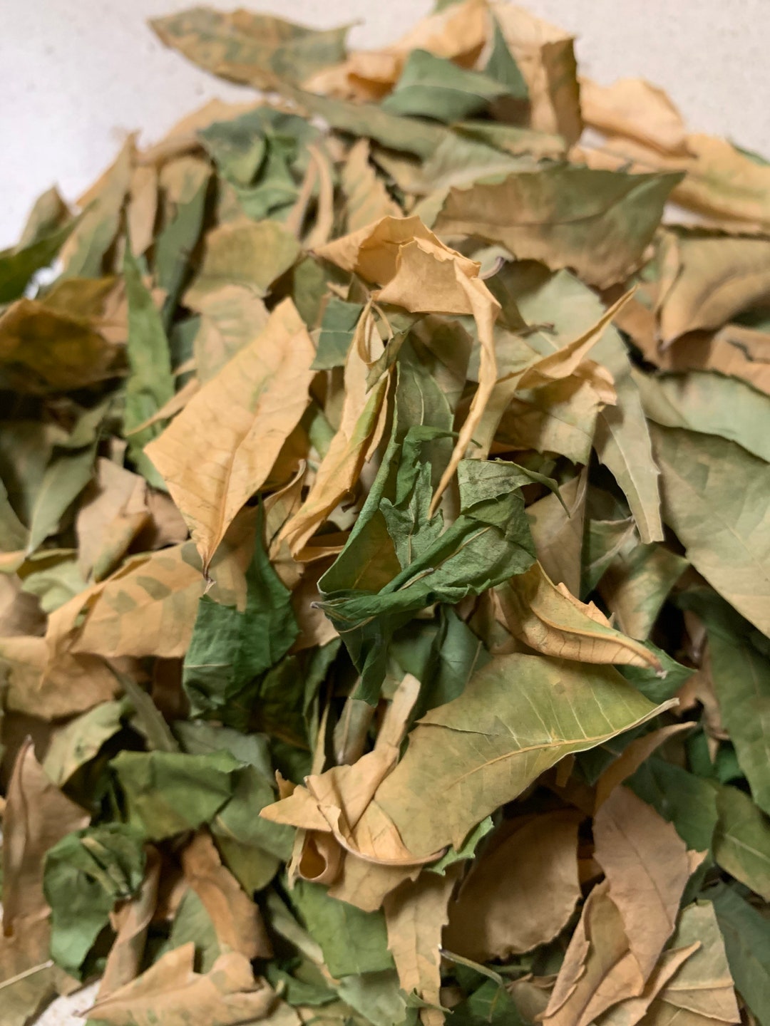Jamaica Dried Neem Leaves Etsy